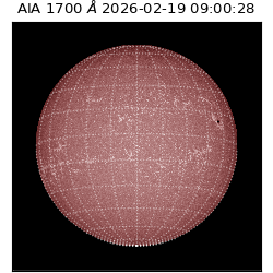 saia - 2026-02-19T09:00:28.717000