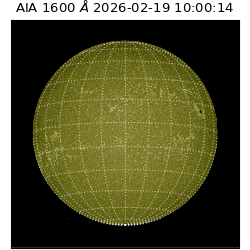 saia - 2026-02-19T10:00:14.125000