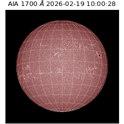 saia - 2026-02-19T10:00:28.717000