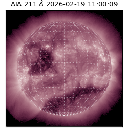 saia - 2026-02-19T11:00:09.633000