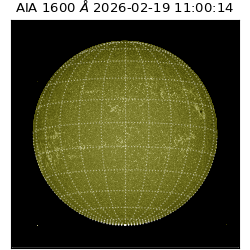 saia - 2026-02-19T11:00:14.129000