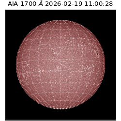 saia - 2026-02-19T11:00:28.709000