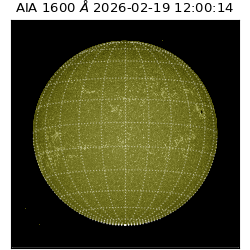 saia - 2026-02-19T12:00:14.118000