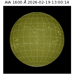 saia - 2026-02-19T13:00:14.126000