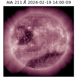 saia - 2026-02-19T14:00:09.634000