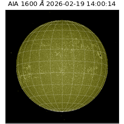saia - 2026-02-19T14:00:14.125000