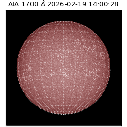 saia - 2026-02-19T14:00:28.717000