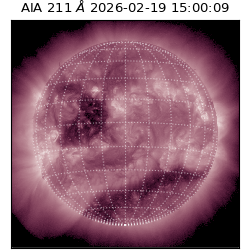 saia - 2026-02-19T15:00:09.634000