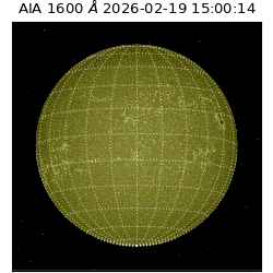 saia - 2026-02-19T15:00:14.129000