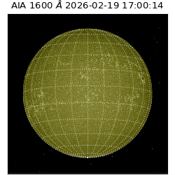 saia - 2026-02-19T17:00:14.117000