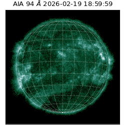 saia - 2026-02-19T18:59:59.122000