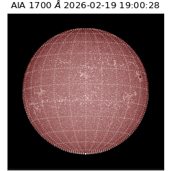 saia - 2026-02-19T19:00:28.717000