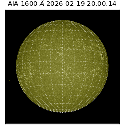 saia - 2026-02-19T20:00:14.126000