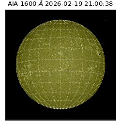 saia - 2026-02-19T21:00:38.117000