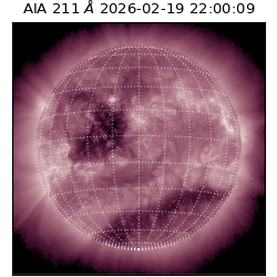 saia - 2026-02-19T22:00:09.618000