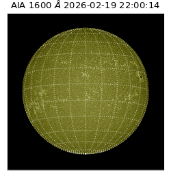 saia - 2026-02-19T22:00:14.124000