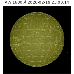 saia - 2026-02-19T23:00:14.126000