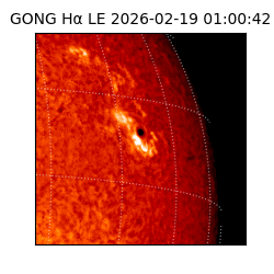 gong - 2026-02-19T01:00:42