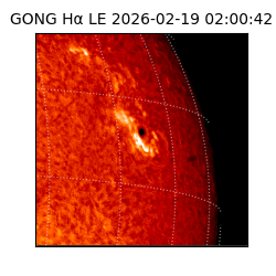 gong - 2026-02-19T02:00:42