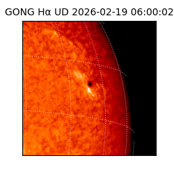 gong - 2026-02-19T06:00:02