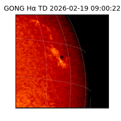 gong - 2026-02-19T09:00:22