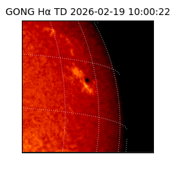 gong - 2026-02-19T10:00:22
