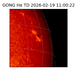 gong - 2026-02-19T11:00:22