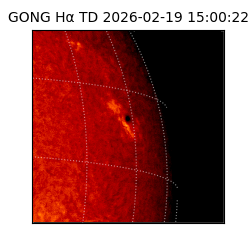 gong - 2026-02-19T15:00:22