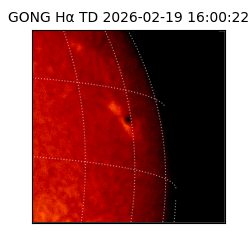 gong - 2026-02-19T16:00:22