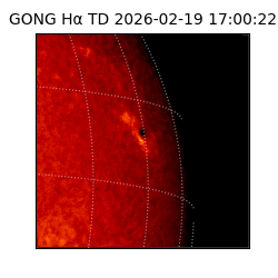 gong - 2026-02-19T17:00:22