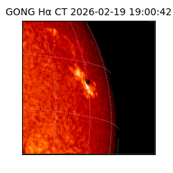 gong - 2026-02-19T19:00:42