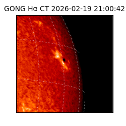 gong - 2026-02-19T21:00:42