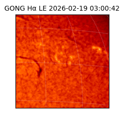 gong - 2026-02-19T03:00:42