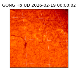 gong - 2026-02-19T06:00:02