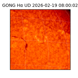 gong - 2026-02-19T08:00:02