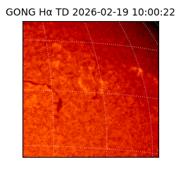 gong - 2026-02-19T10:00:22