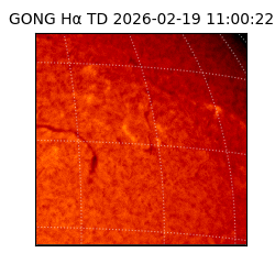 gong - 2026-02-19T11:00:22