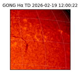 gong - 2026-02-19T12:00:22