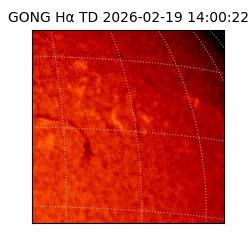 gong - 2026-02-19T14:00:22