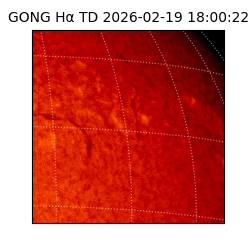 gong - 2026-02-19T18:00:22