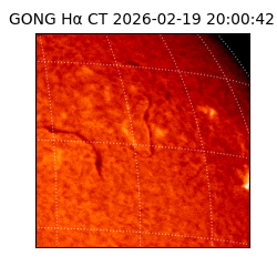gong - 2026-02-19T20:00:42