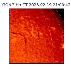 gong - 2026-02-19T21:00:42