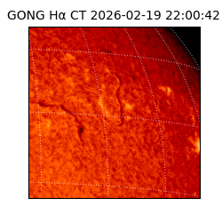 gong - 2026-02-19T22:00:42