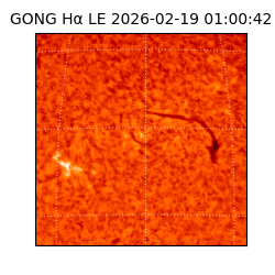 gong - 2026-02-19T01:00:42