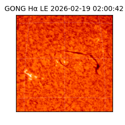 gong - 2026-02-19T02:00:42