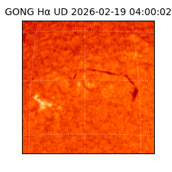 gong - 2026-02-19T04:00:02