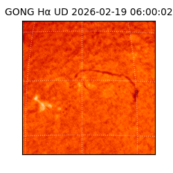 gong - 2026-02-19T06:00:02