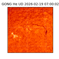 gong - 2026-02-19T07:00:02