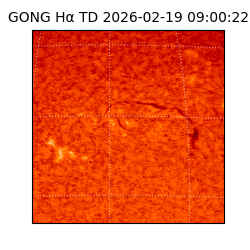 gong - 2026-02-19T09:00:22