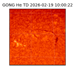 gong - 2026-02-19T10:00:22